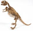 Dino MUMMY - Tyranosaurus Rex, T-REX